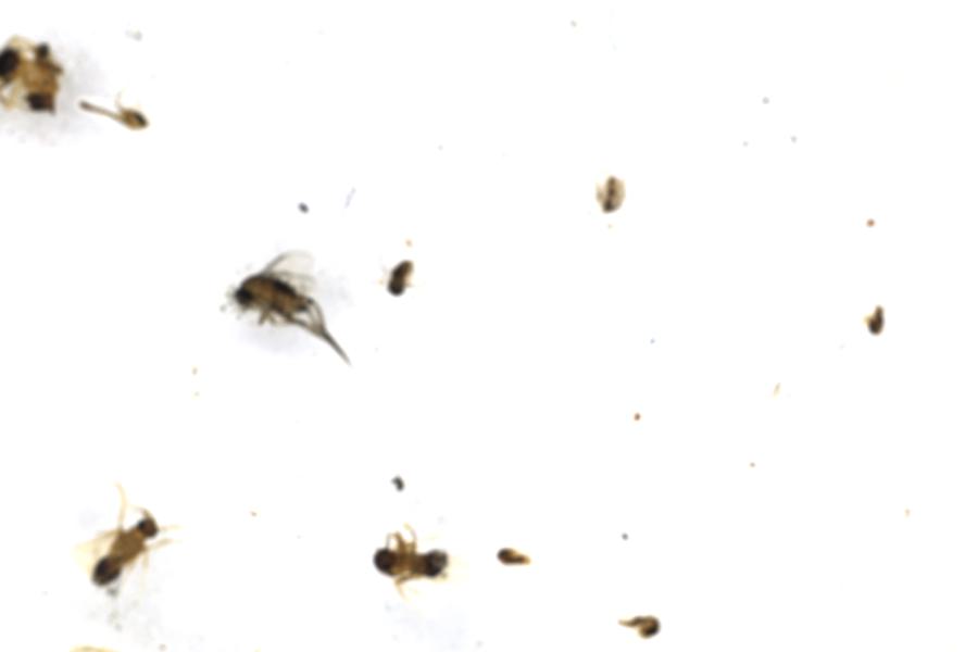 Image 90